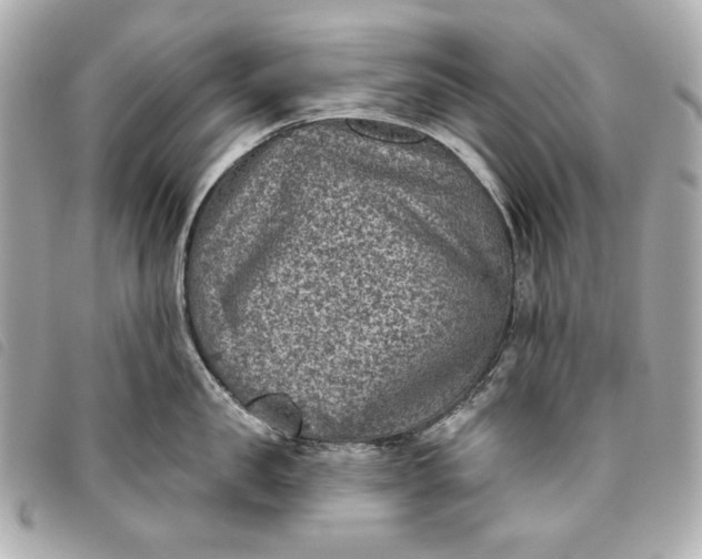 X0000093480957200710261036