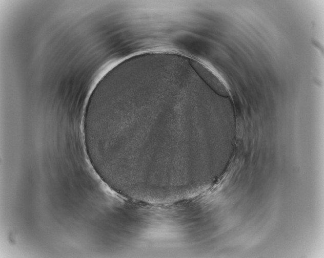 X0000093480959200710261036
