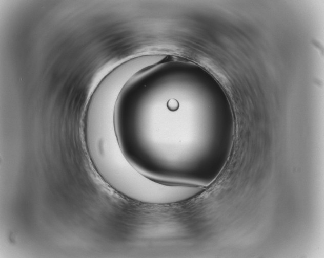 X0000093480960200710261036