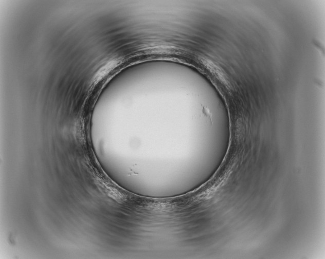 X0000093480970200710261035