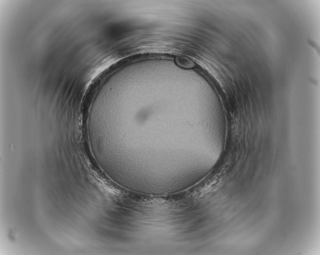 X0000093480971200710261035