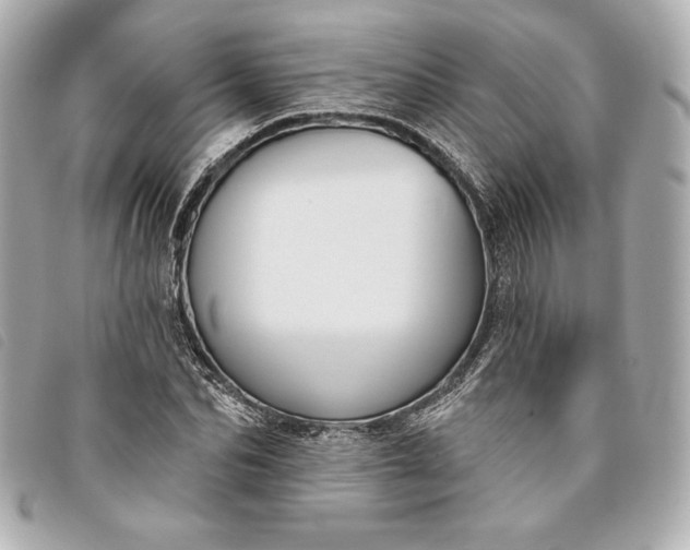 X0000093480974200710261035