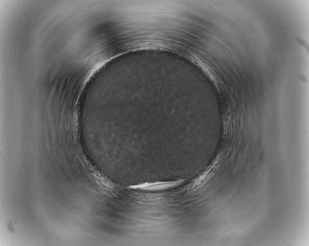 X0000093480975200710261035