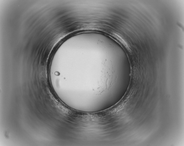 X0000093480980200710261035