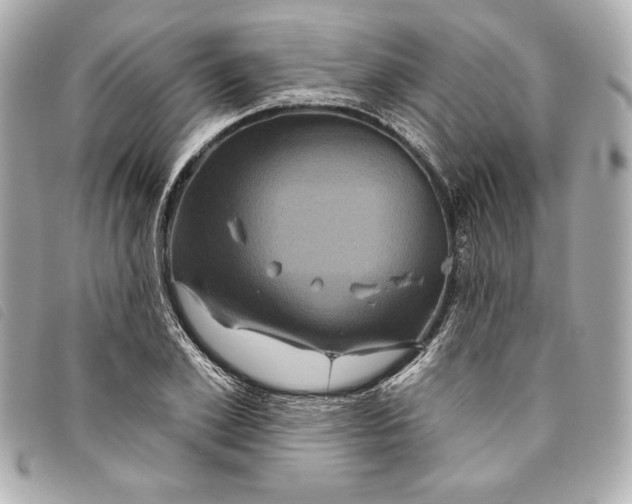 X0000093480981200710261035