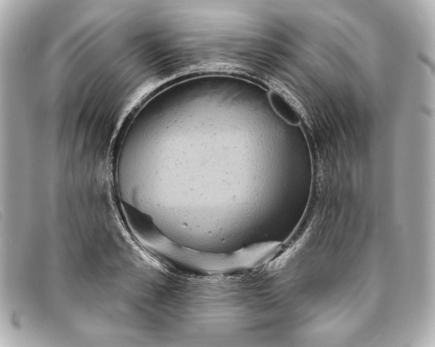 X0000093480989200710261035