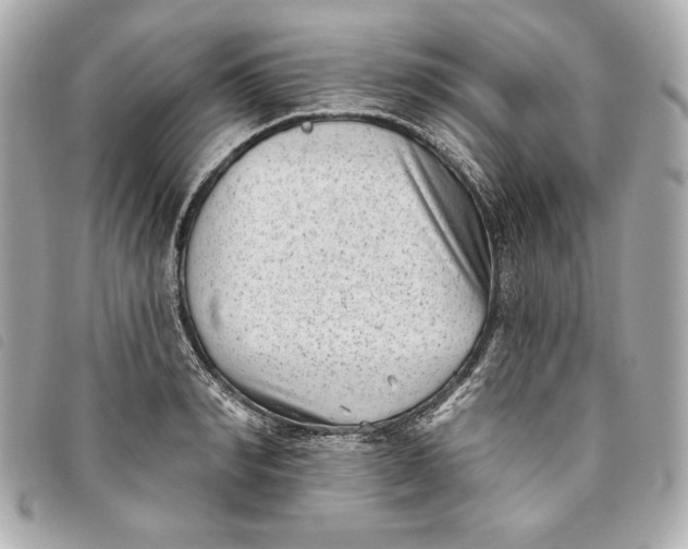 X0000093480990200710261035
