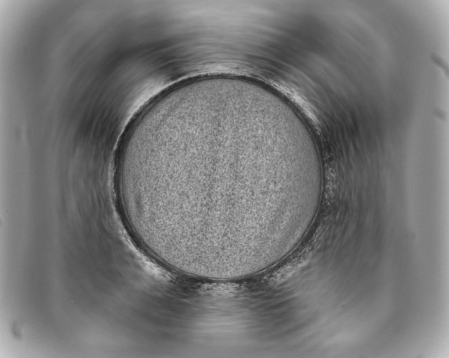 X0000093480991200710261035