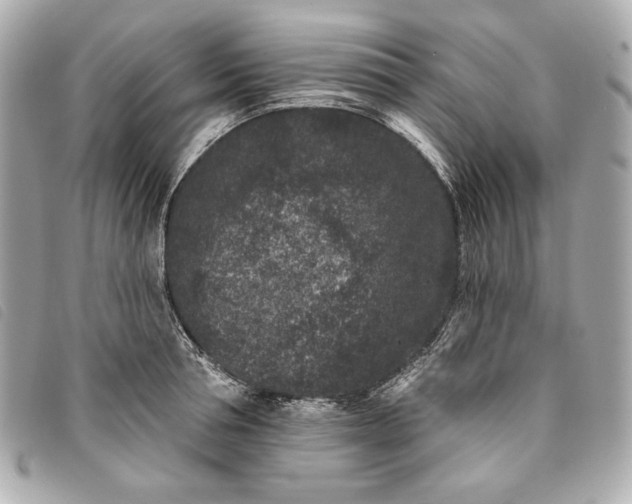 X0000093480994200710261035