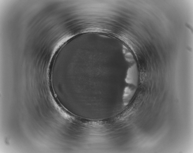 X0000093480995200710261035