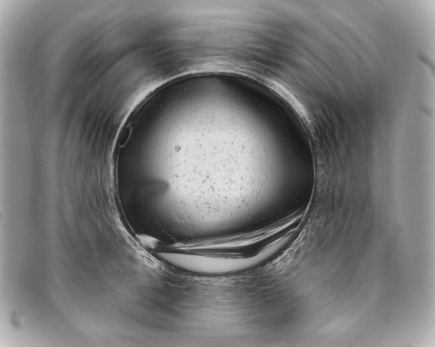 X0000093480996200710261035