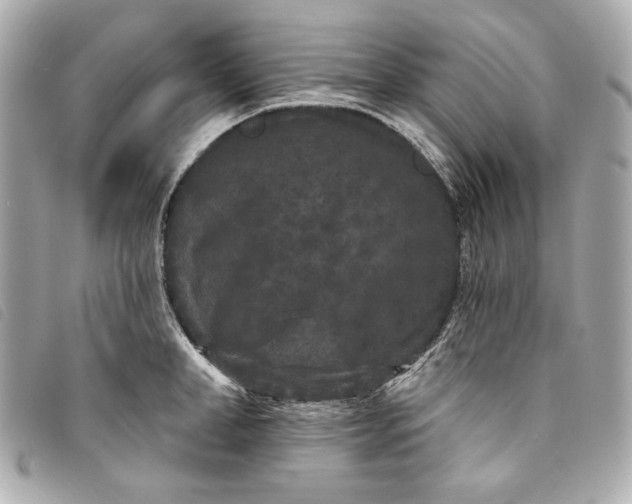 X0000093480998200710261035