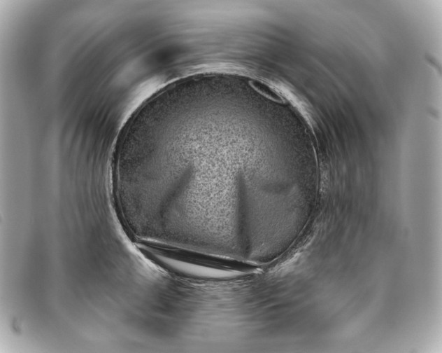 X0000093480999200710261035
