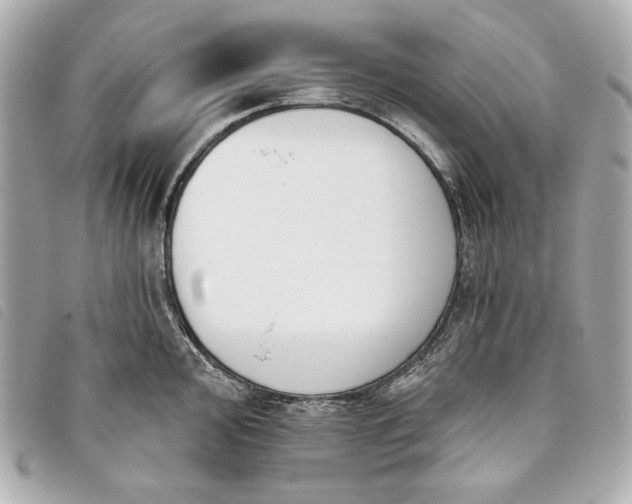 X0000093481000200710261035