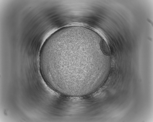 X0000093481003200710261035