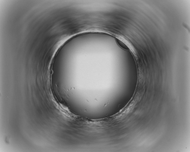 X0000093481004200710261035