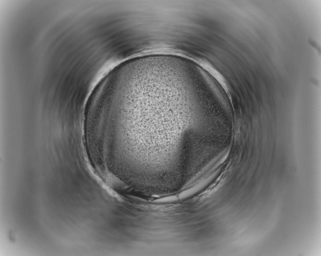 X0000093481005200710261035