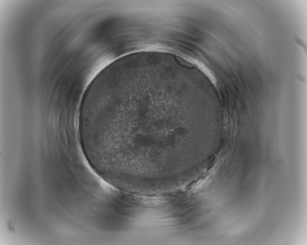 X0000093481007200710261035