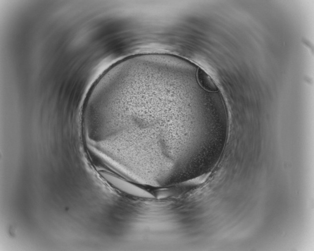 X0000093481008200710261035
