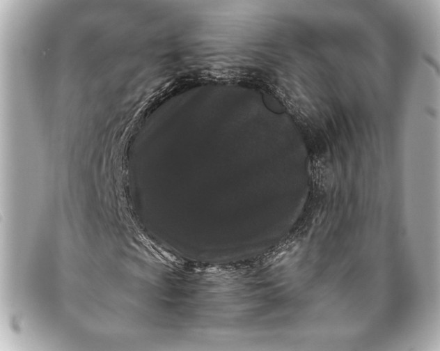 X0000093481009200710261034