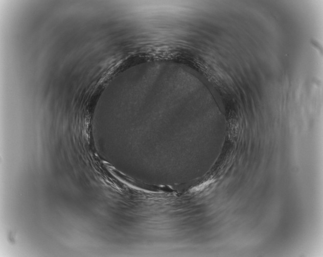 X0000093481010200710261034