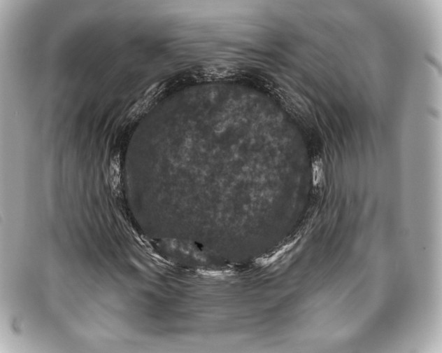 X0000093481011200710261034