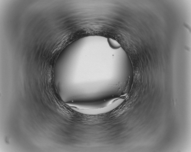 X0000093481012200710261034
