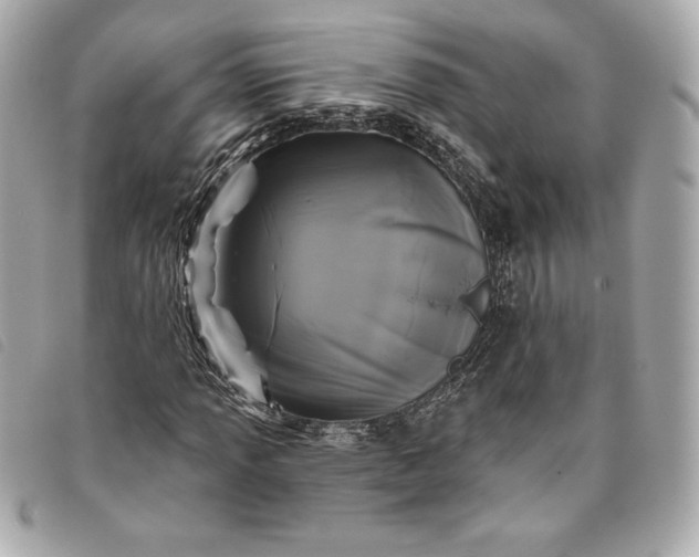 X0000093481013200710261034