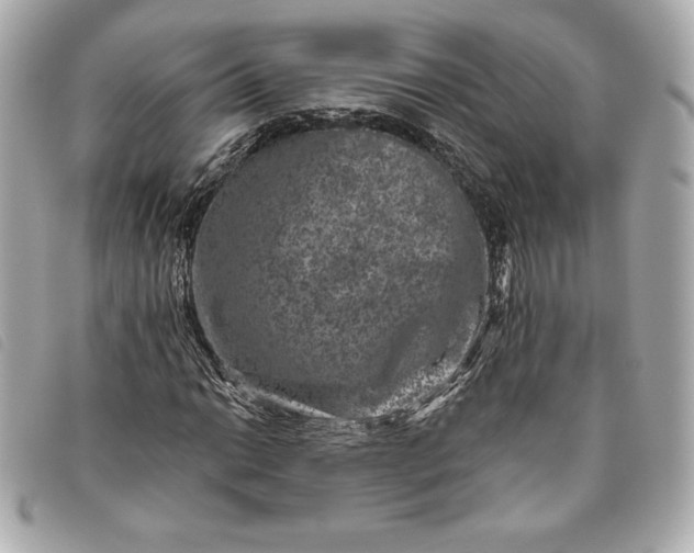 X0000093481014200710261034