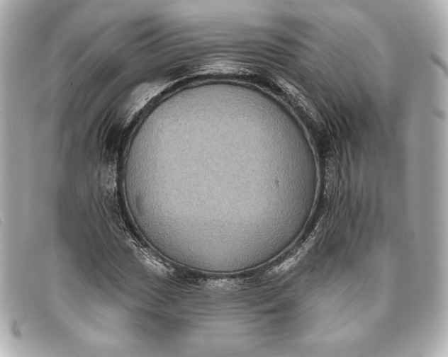 X0000093481017200710261034
