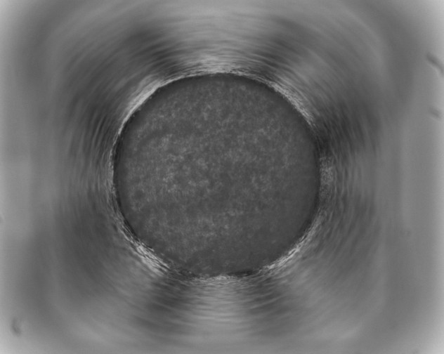 X0000093481023200710261034
