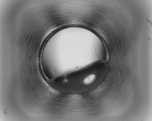 X0000093481024200710261034