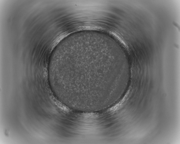 X0000093481025200710261034
