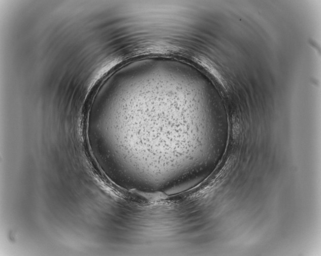 X0000093481026200710261034