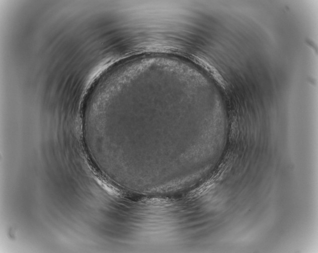X0000093481027200710261034