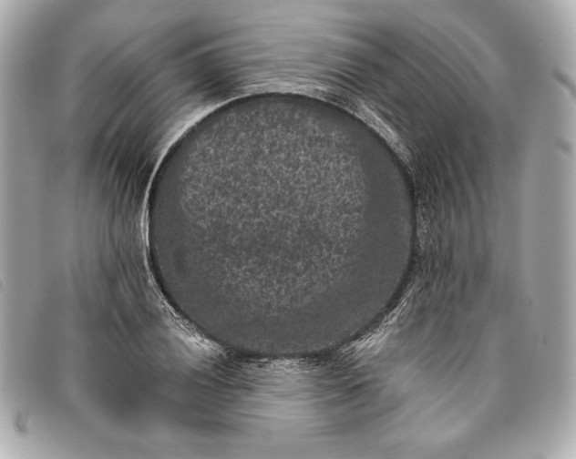 X0000093481028200710261034