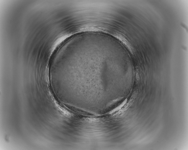 X0000093481030200710261035
