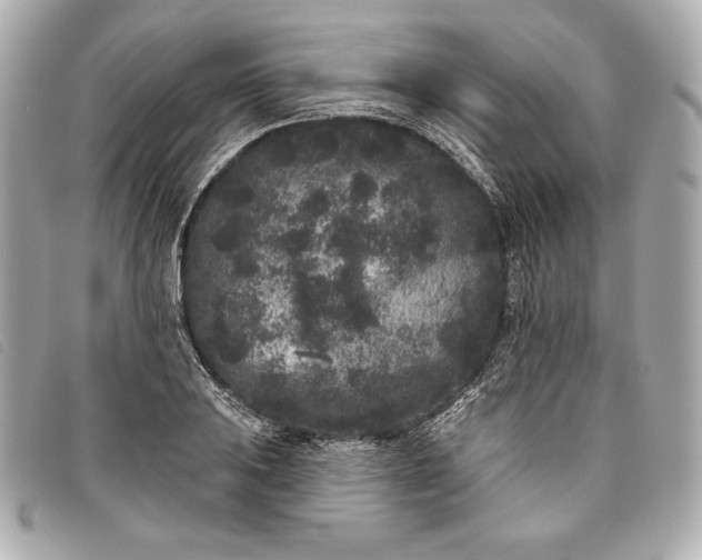 X0000093481031200710261035