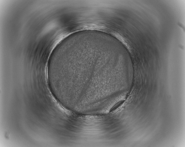 X0000093481032200710261035