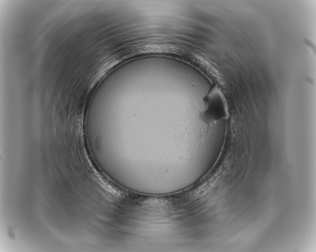 X0000093481033200710261035