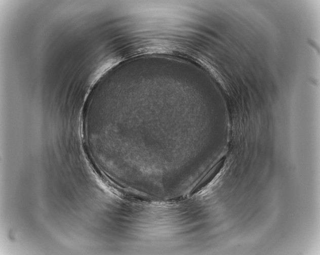 X0000093481034200710261035