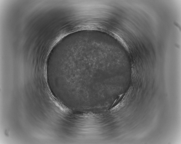 X0000093481035200710261035