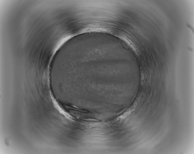 X0000093481038200710261035