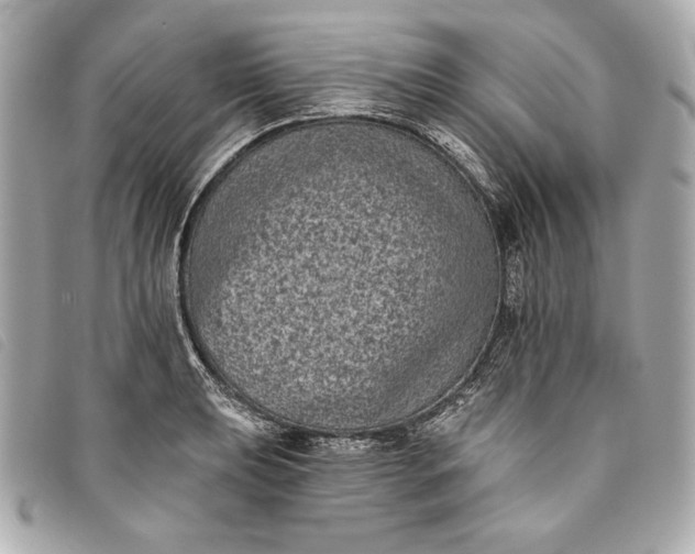 X0000093481039200710261035