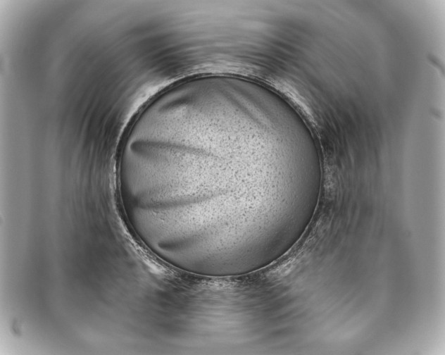 X0000093481040200710261035
