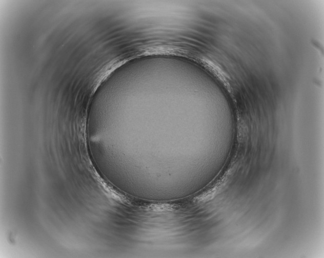X0000093481041200710261035