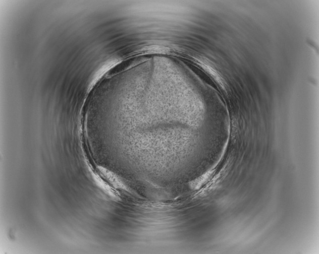X0000093481042200710261035