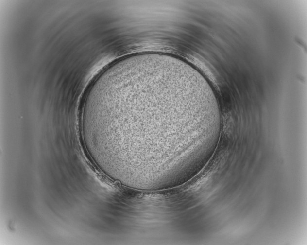 X0000093481043200710261035