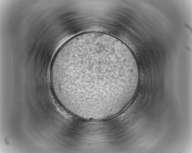 X0000093481044200710261035