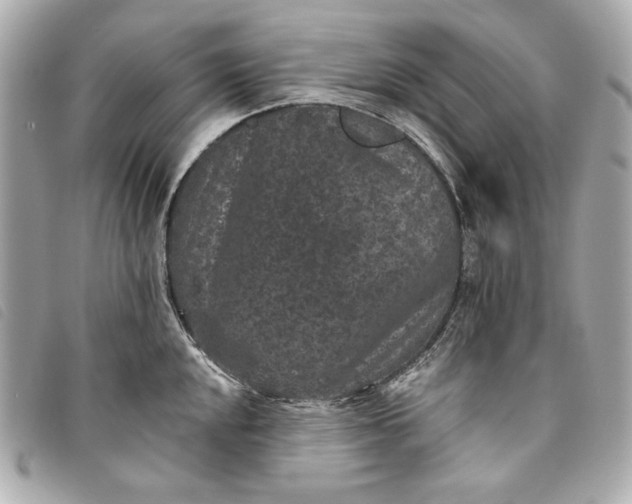 X0000093481048200710261035